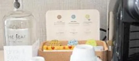 The Leaf Boutique - Adults Only 3* Lisboa