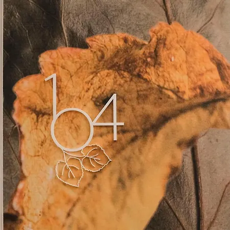 Отель The Leaf Boutique - Adults Only